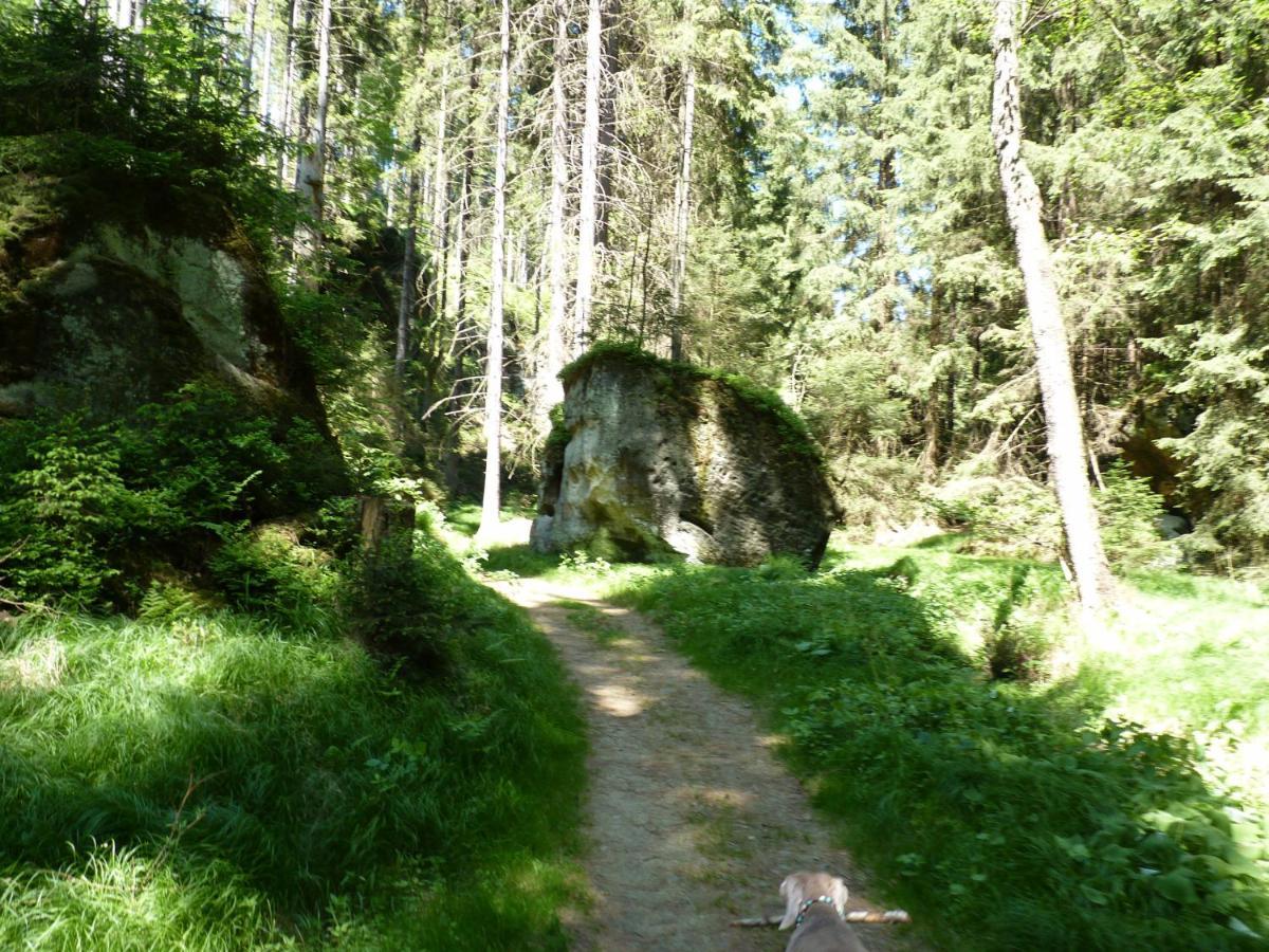 Ein Platz Fuer Ruhe Und Naturgenuss Sebnitz Kültér fotó