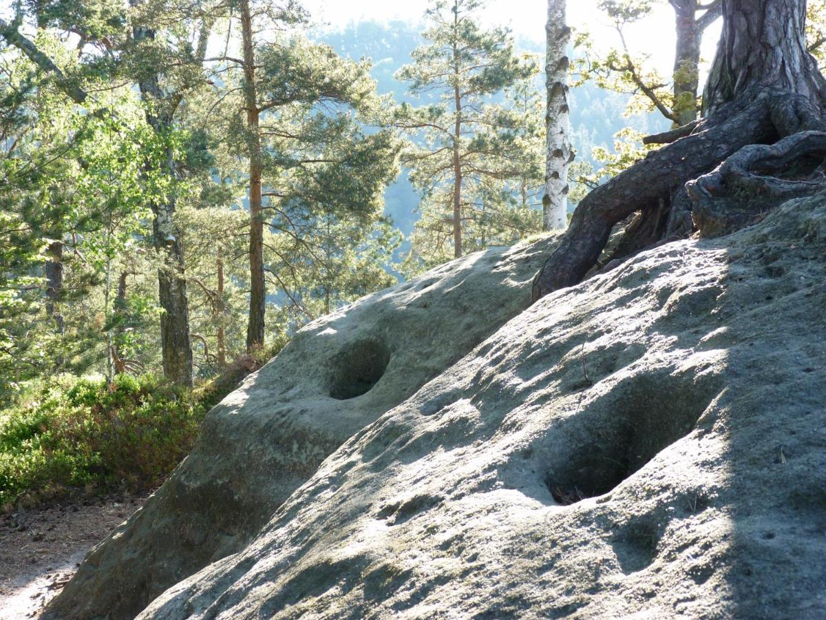 Ein Platz Fuer Ruhe Und Naturgenuss Sebnitz Kültér fotó