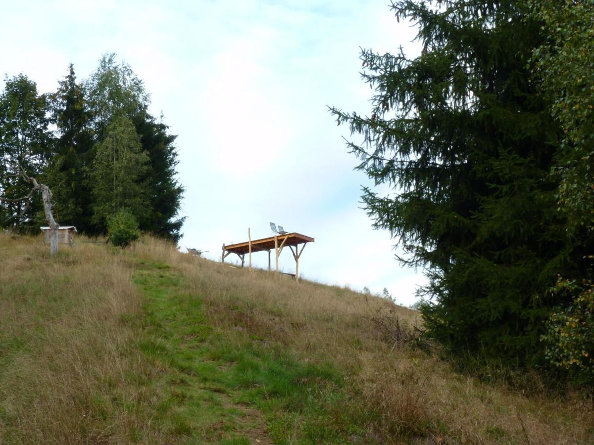 Ein Platz Fuer Ruhe Und Naturgenuss Sebnitz Kültér fotó