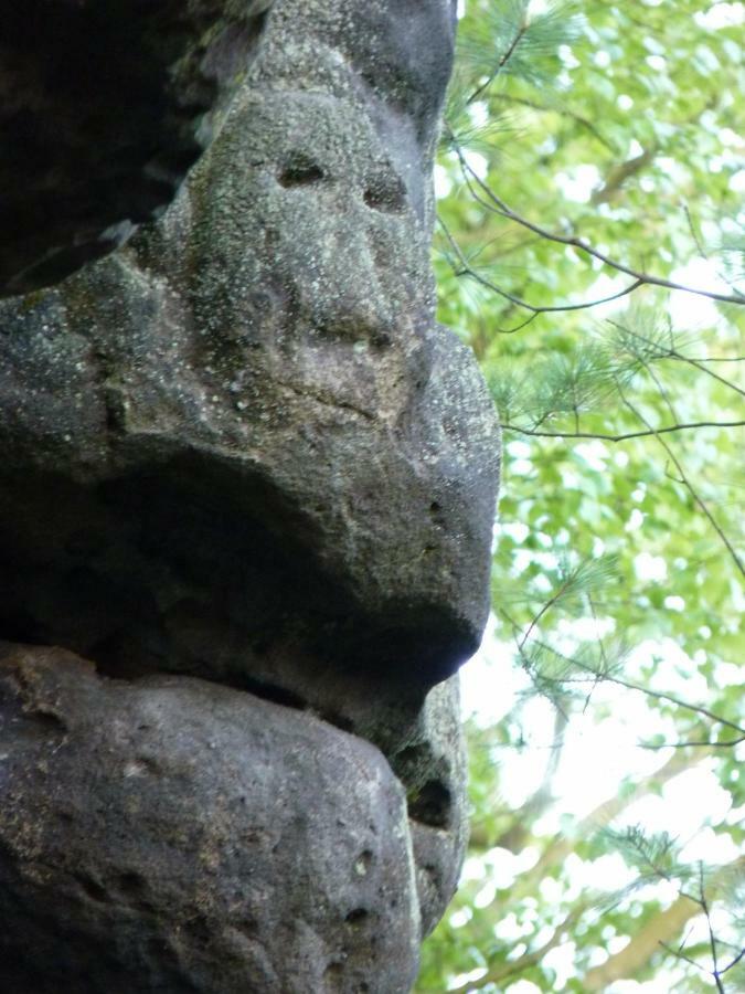 Ein Platz Fuer Ruhe Und Naturgenuss Sebnitz Kültér fotó
