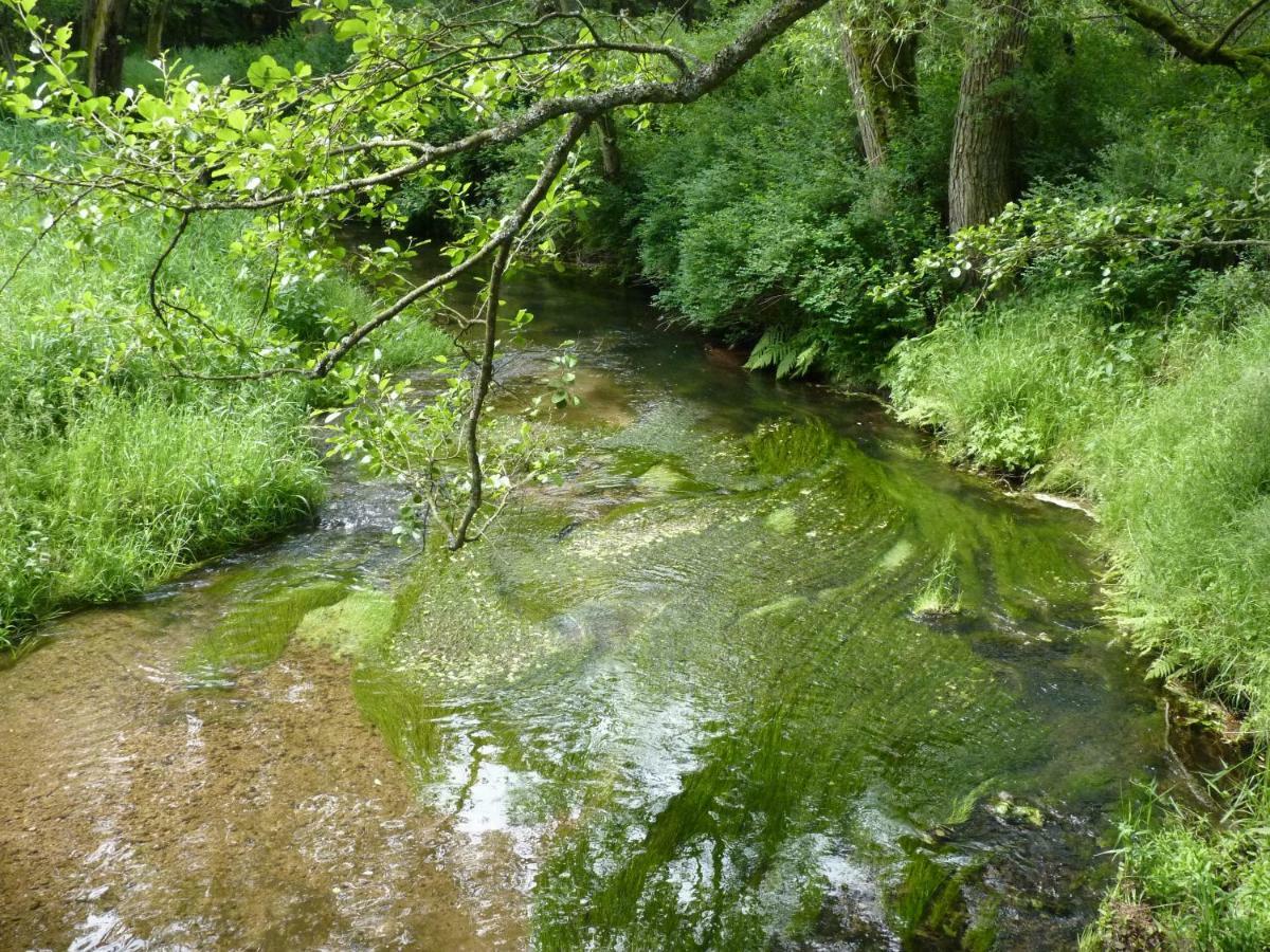 Ein Platz Fuer Ruhe Und Naturgenuss Sebnitz Kültér fotó