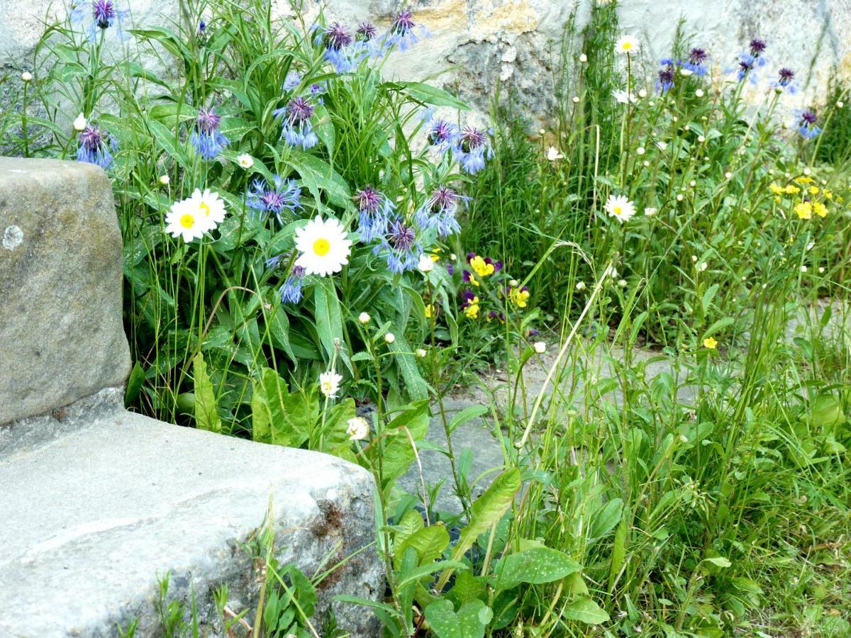 Ein Platz Fuer Ruhe Und Naturgenuss Sebnitz Kültér fotó